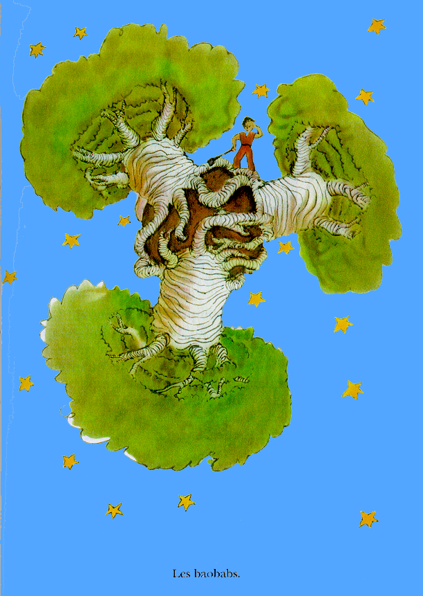 baobab