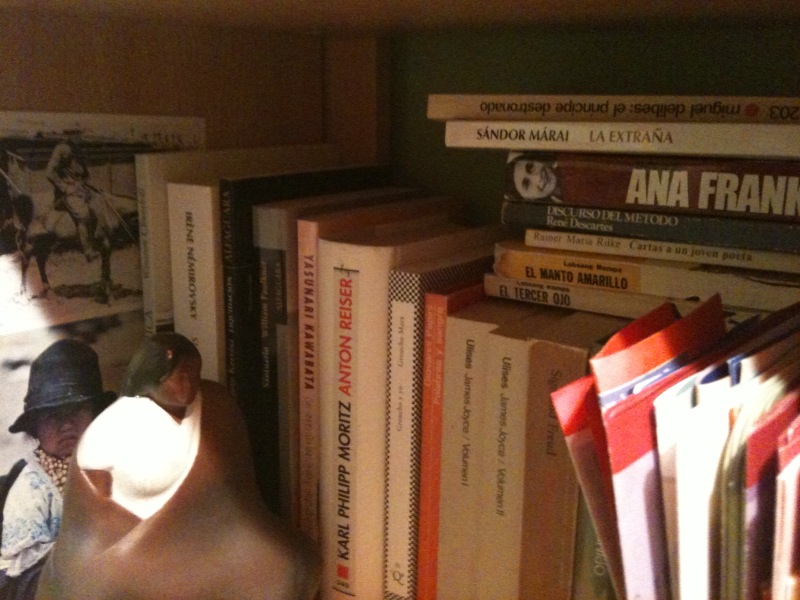 libros